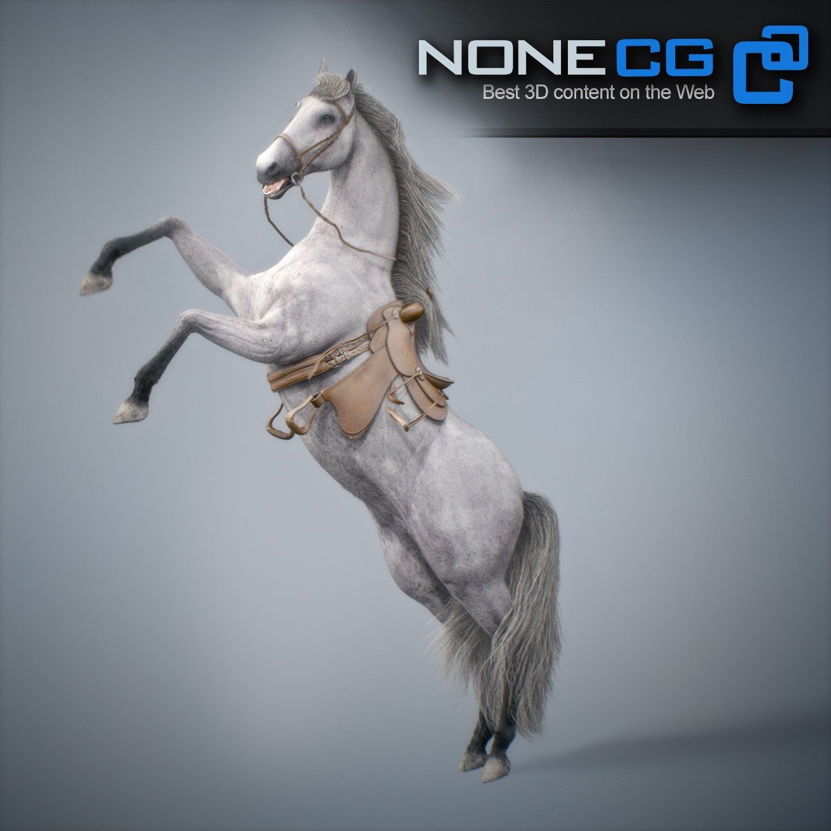 3D Horses Animated by NoneCG