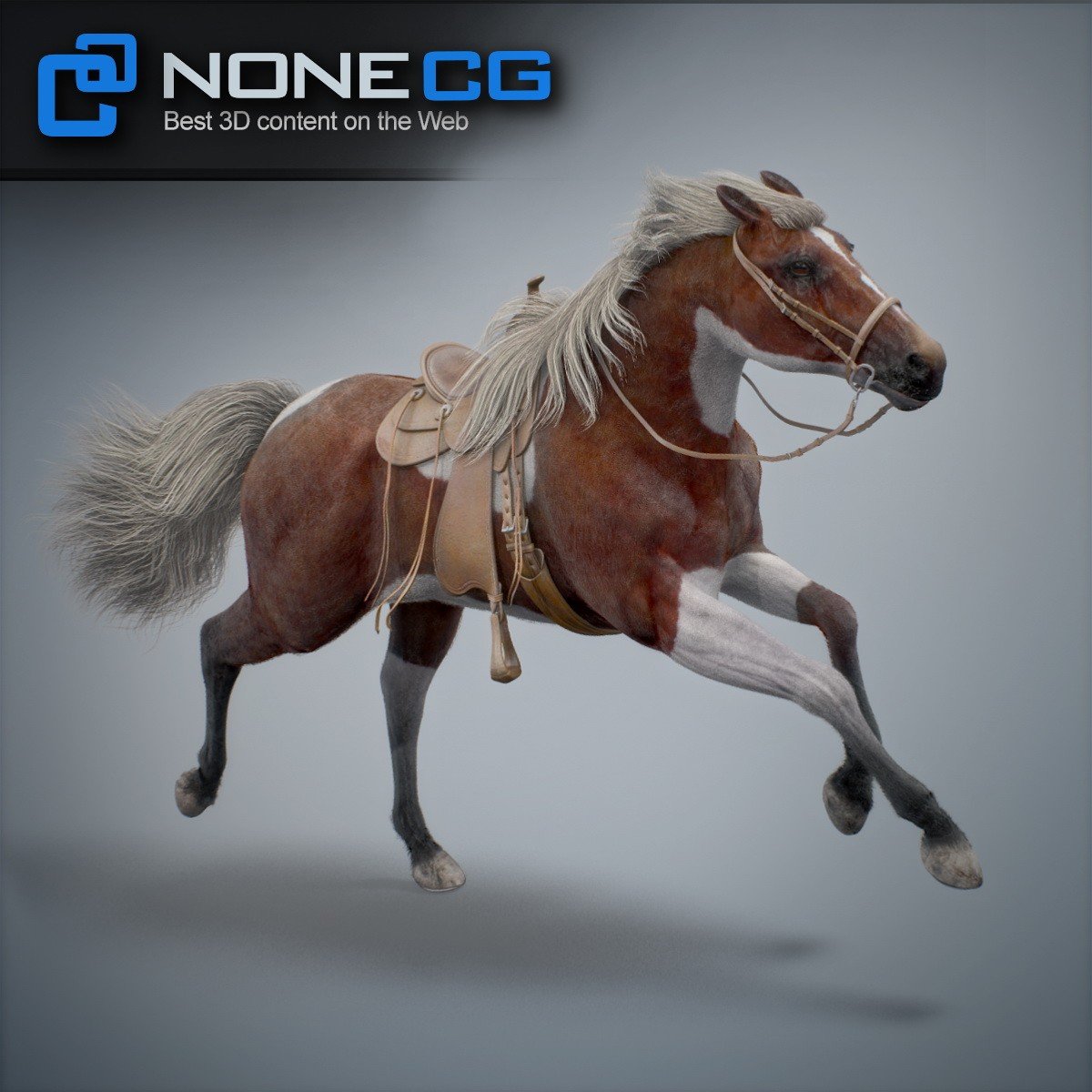 3D Horses Animated by NoneCG