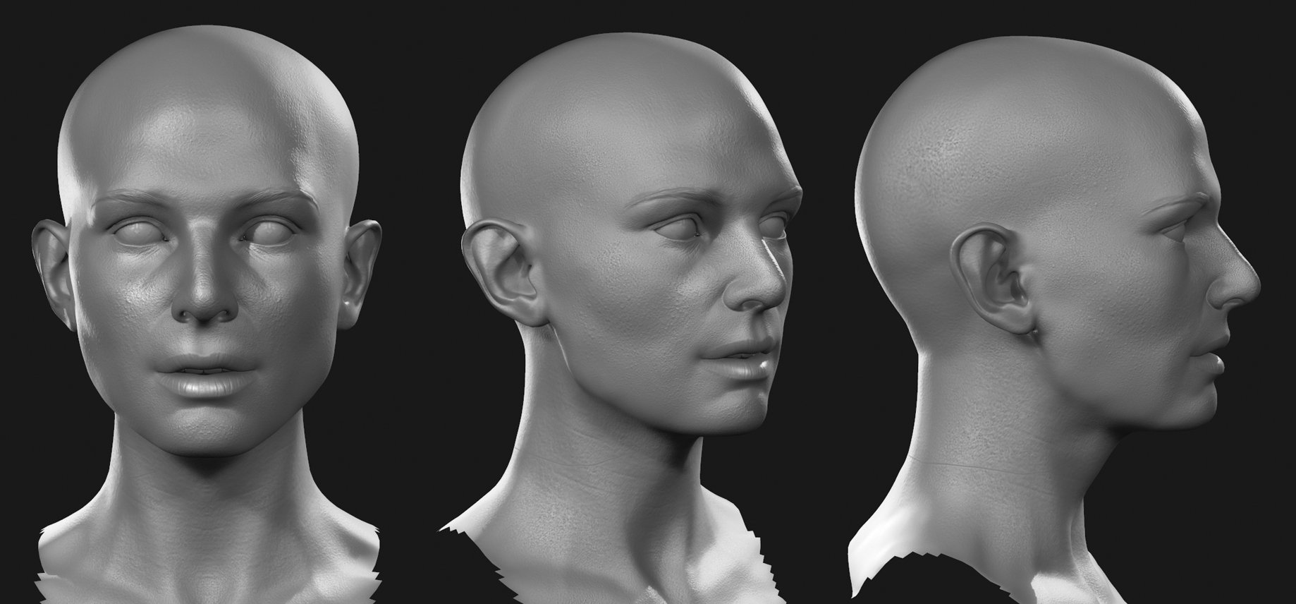 После голова три. Профиль 3/4 референс. Голова человека. Модель женской головы. Профиль лица.