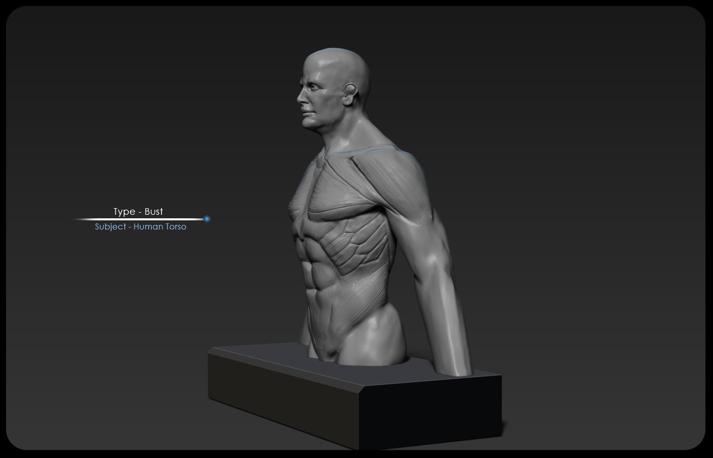 ArtStation - Anatomy Studies