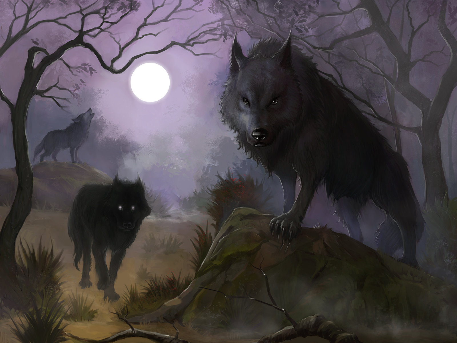 dark forest wolf wallpaper