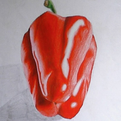 Pete mc nally sketch colpencil peppers01