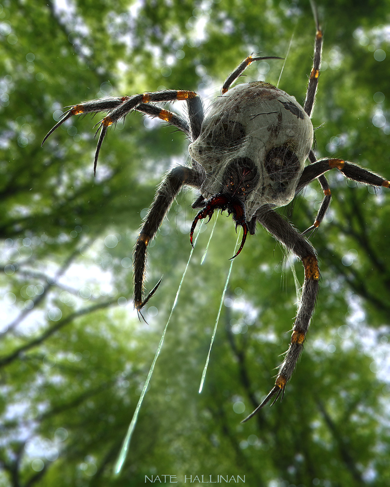 The Wildlife of the First Level Nate-hallinan-skulltula-final-md