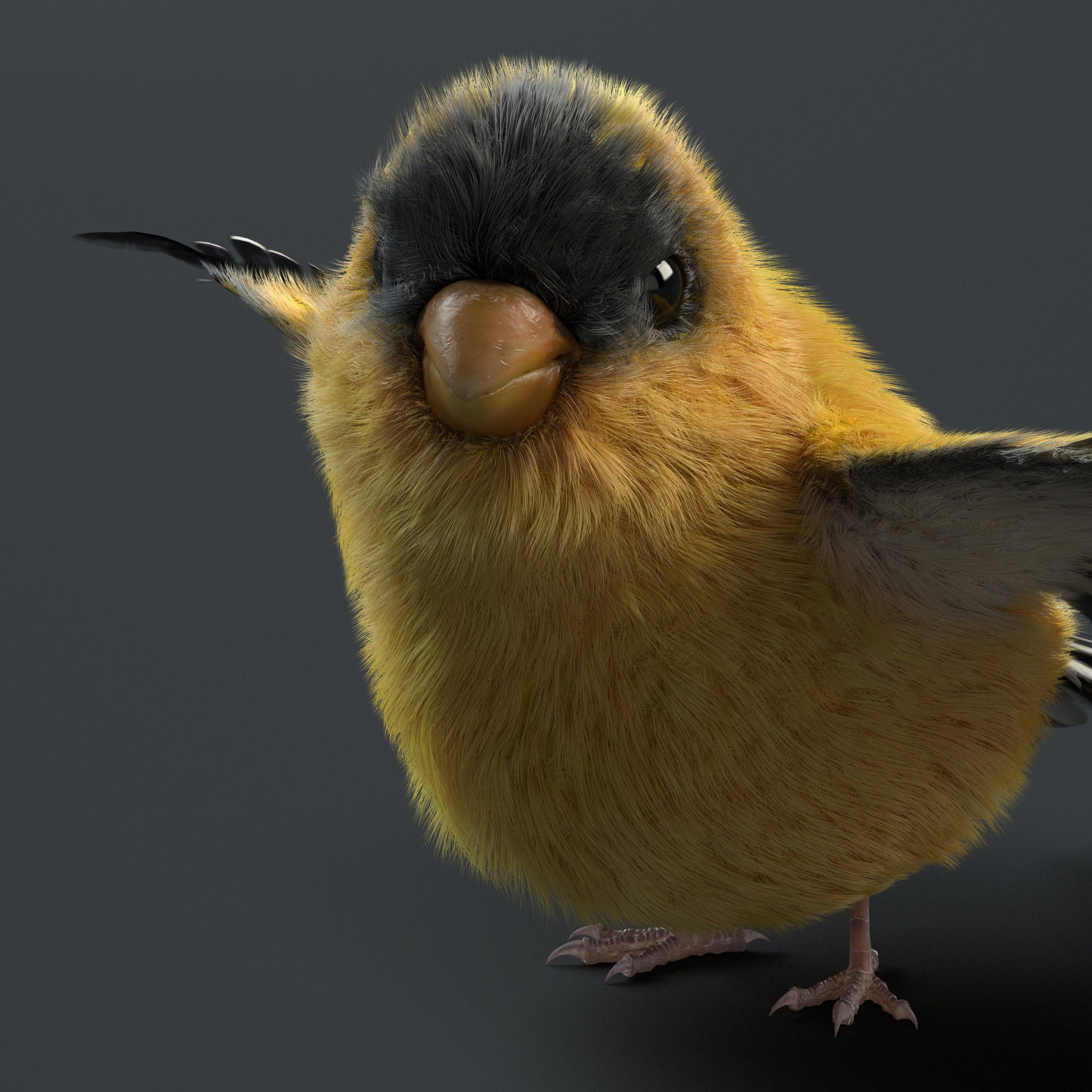 Bird Render