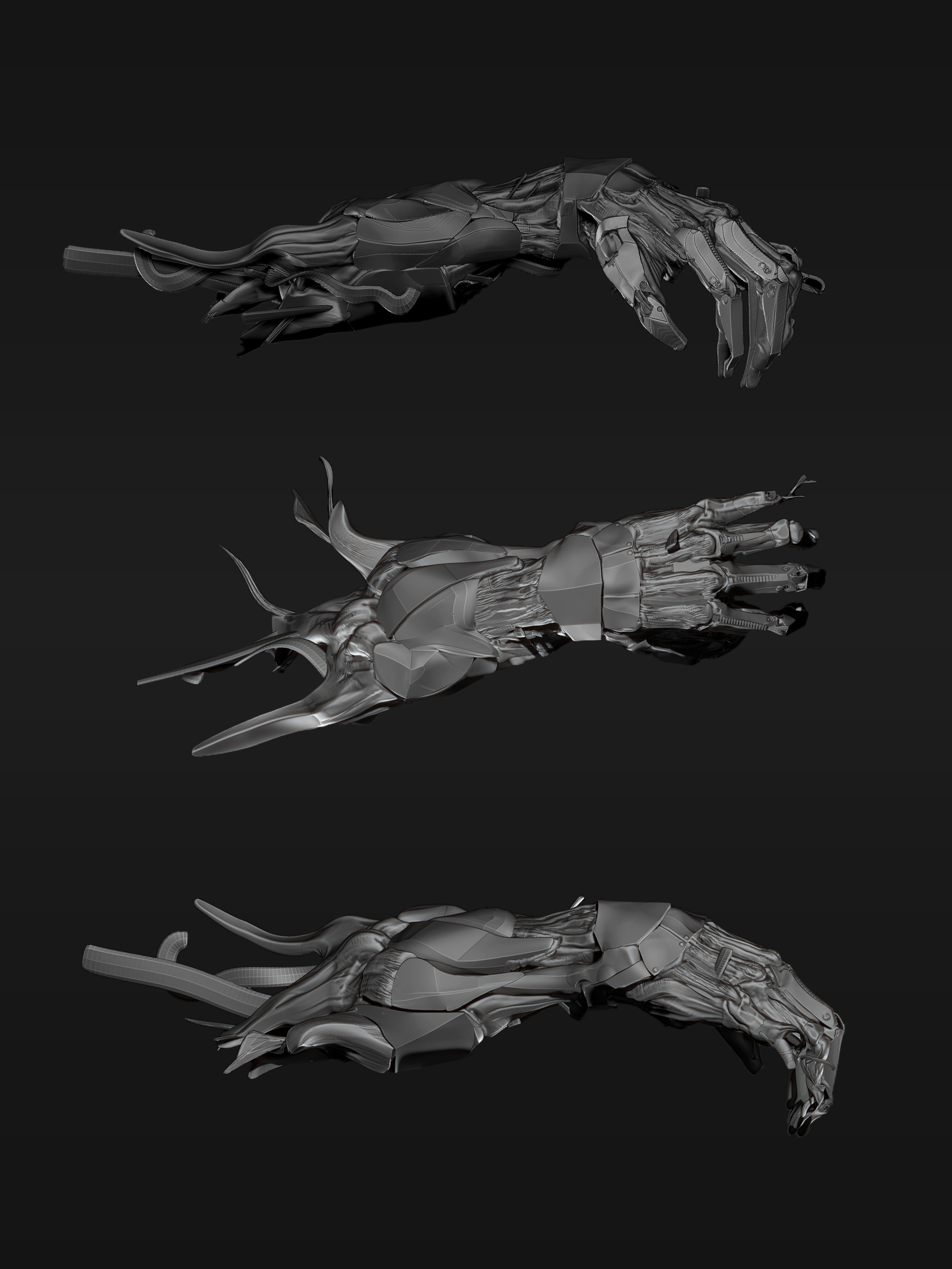 The Hand Model from different Angles