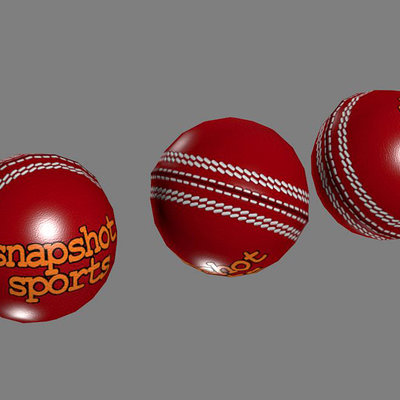 Lloyd chidgzey cricketball 01