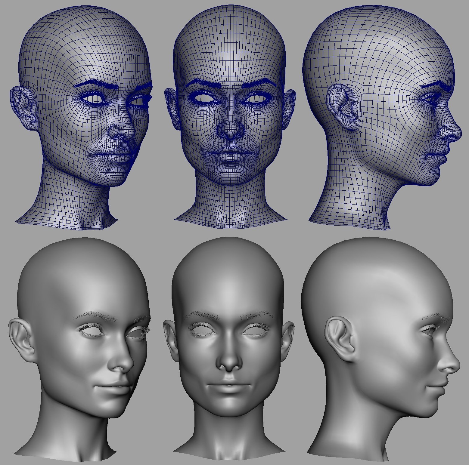 Третья лица. Профиль 3д референс. Голова человека. Модель лица для рисования. Модель головы.