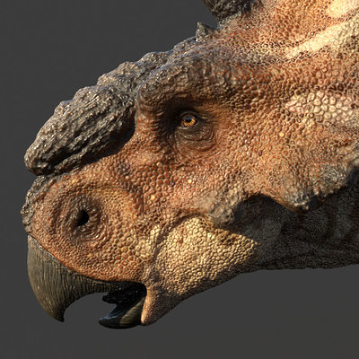 Guillaume molle pachyrhinosaurus render01