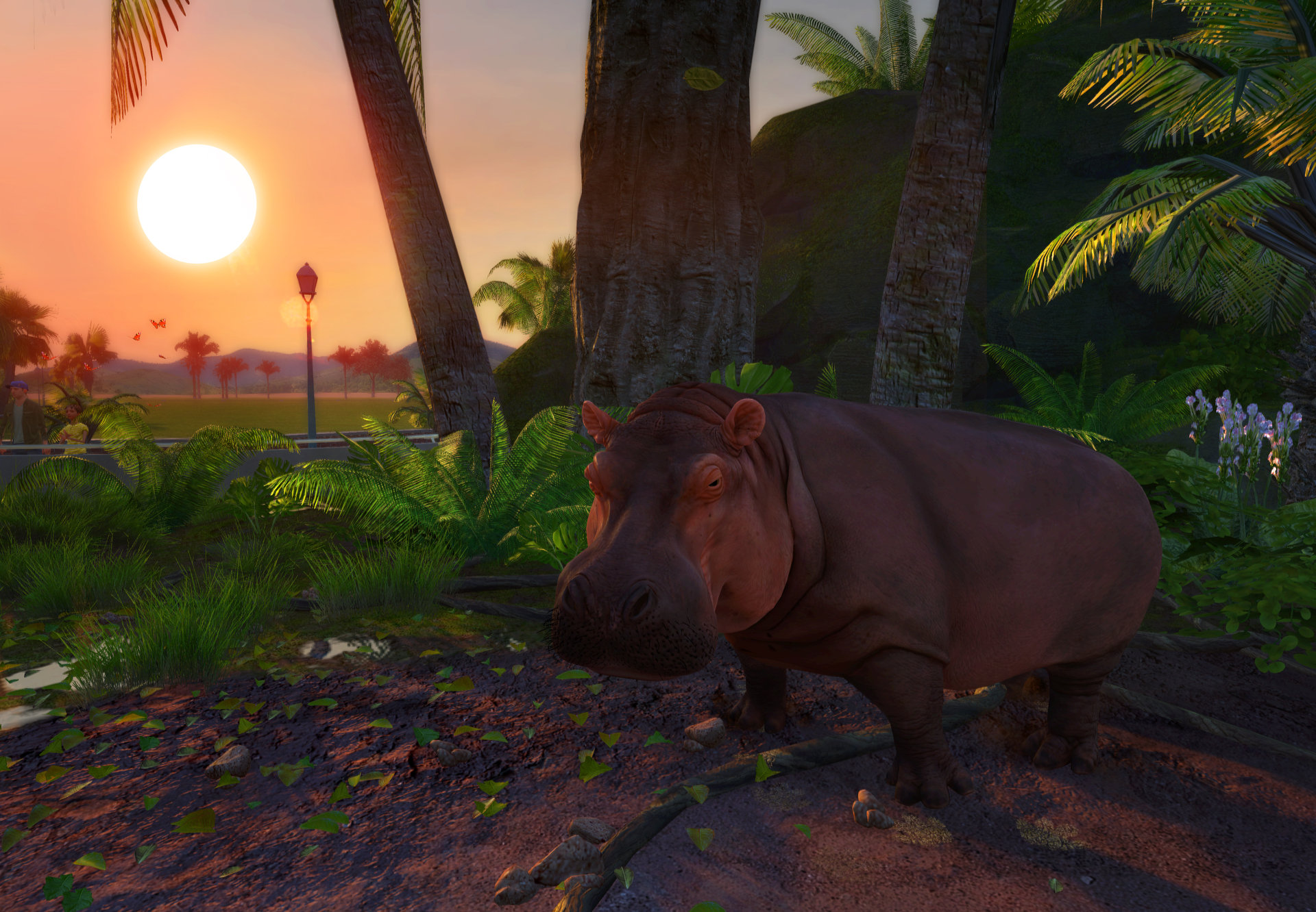Zoo Tycoon 3: Hippopotamus 