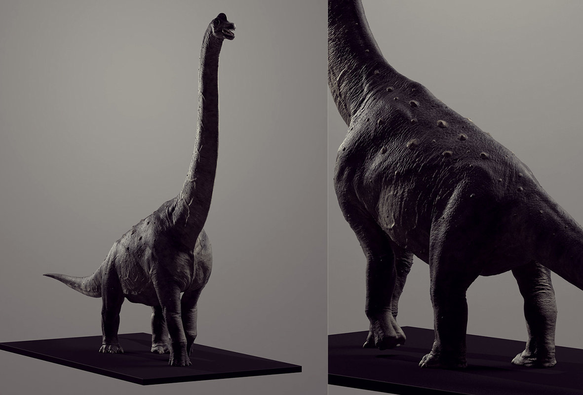 Pelorosaurus