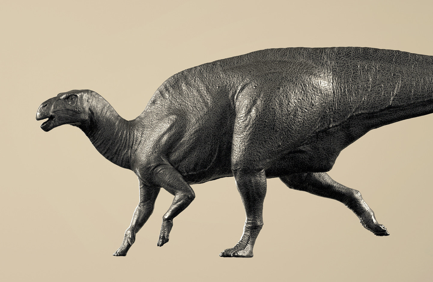 Iguanodon