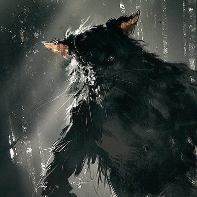 Darek zabrocki werewolf