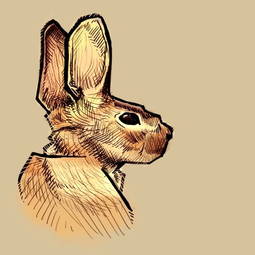 Artstation Rabbit 1 Bennett Jobling !do not repost my art! artstation