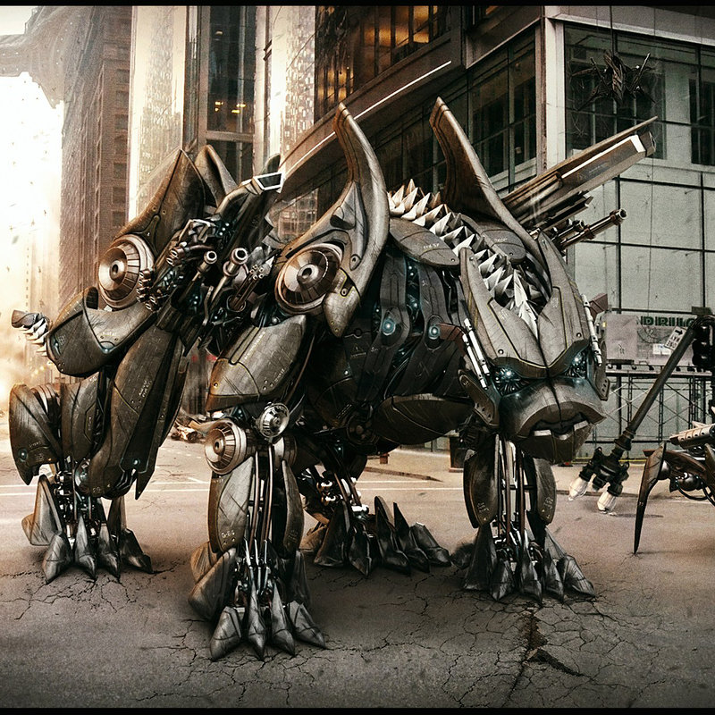 Invasion