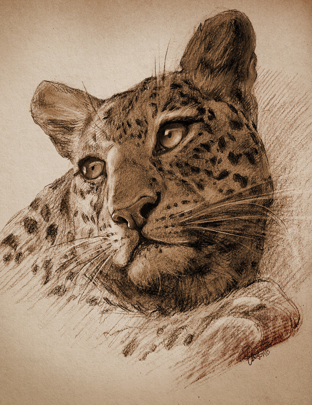 Wallpaper Artstation Leopard Eyes Angela Liu For Android