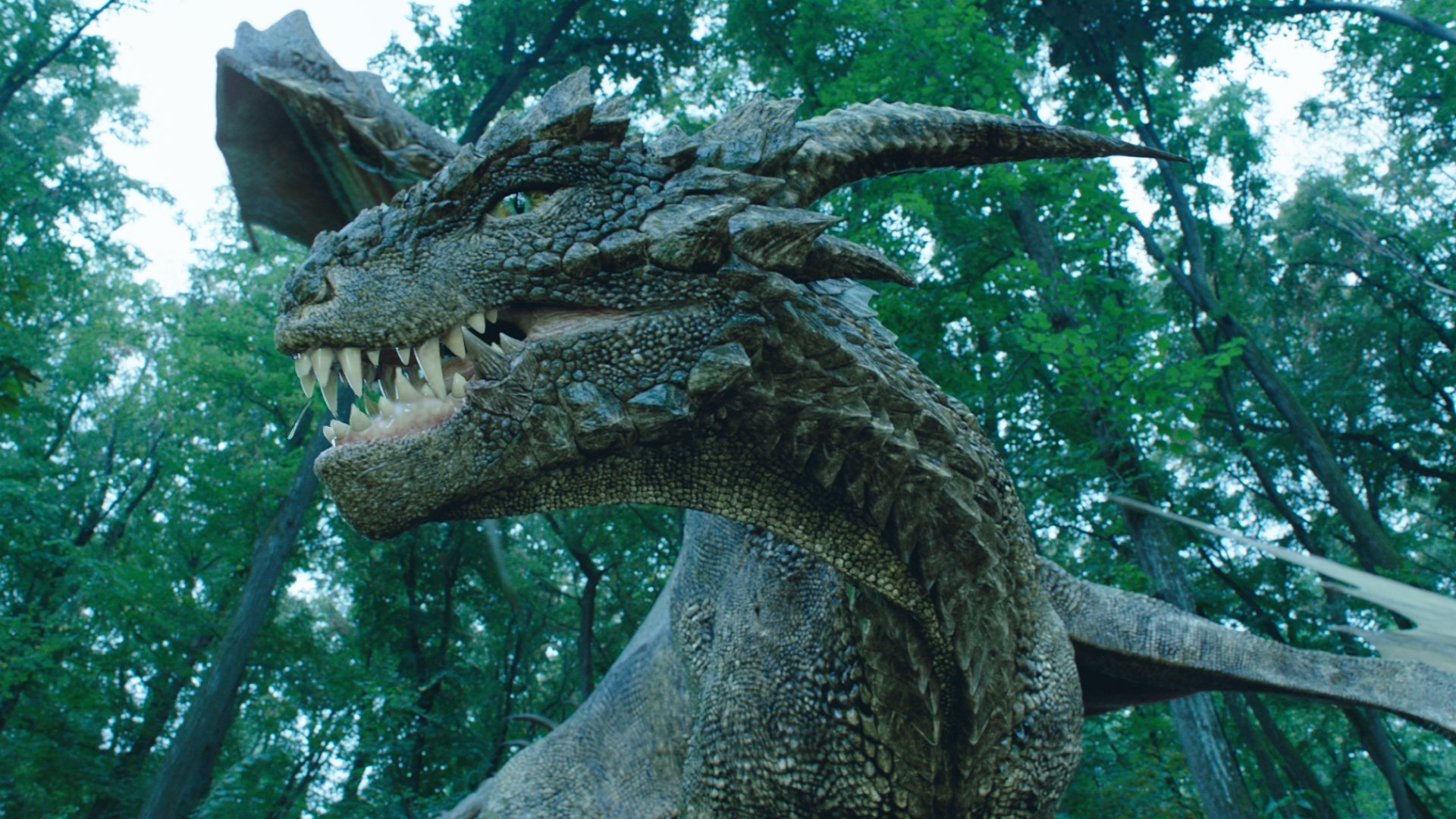 artstation dragonheart 3 the