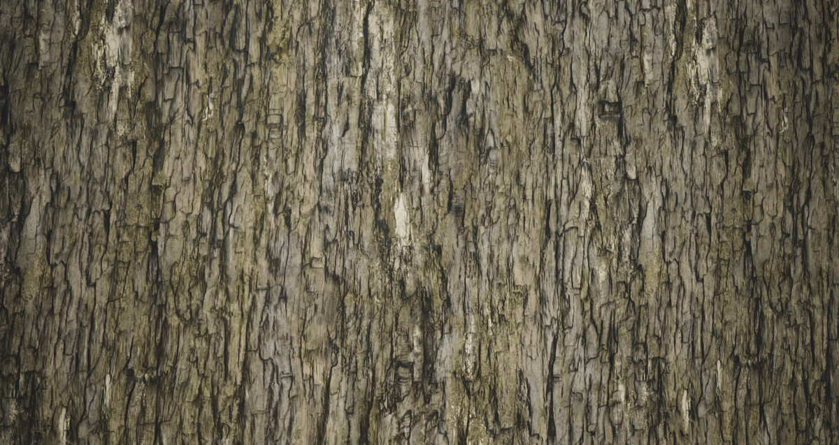 Bark