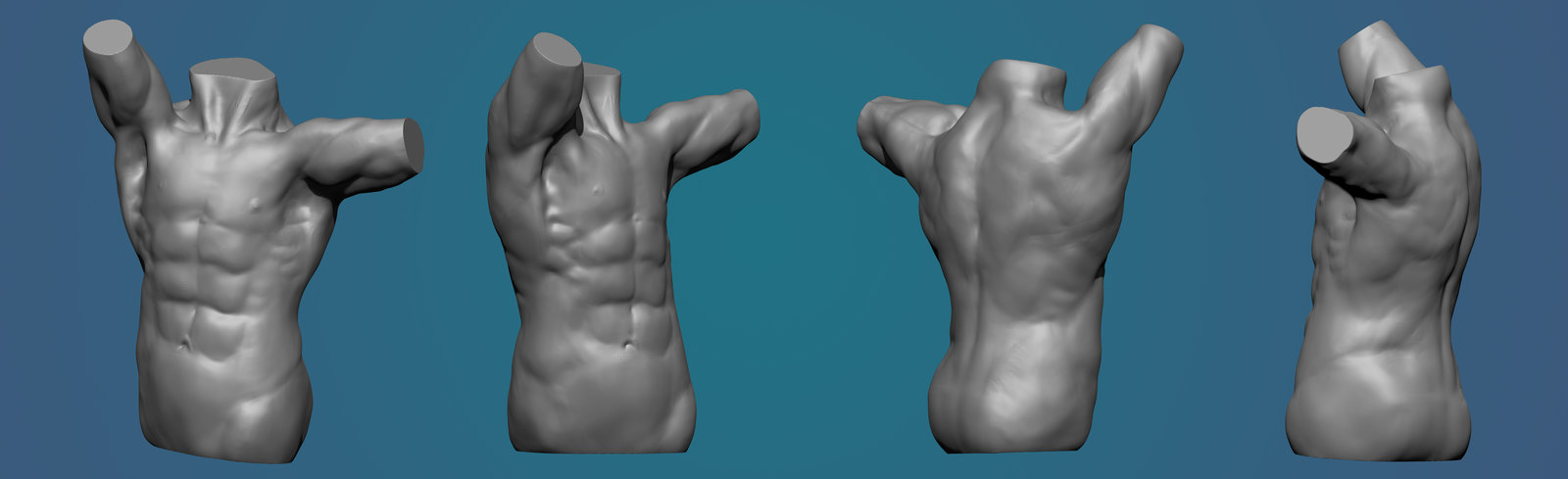 Anatomy practice