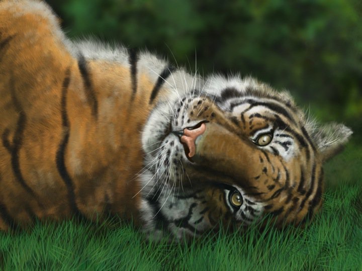 Tiger Painting