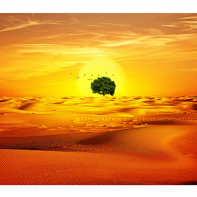 Genesis raz von edler desert tree by razielmb c