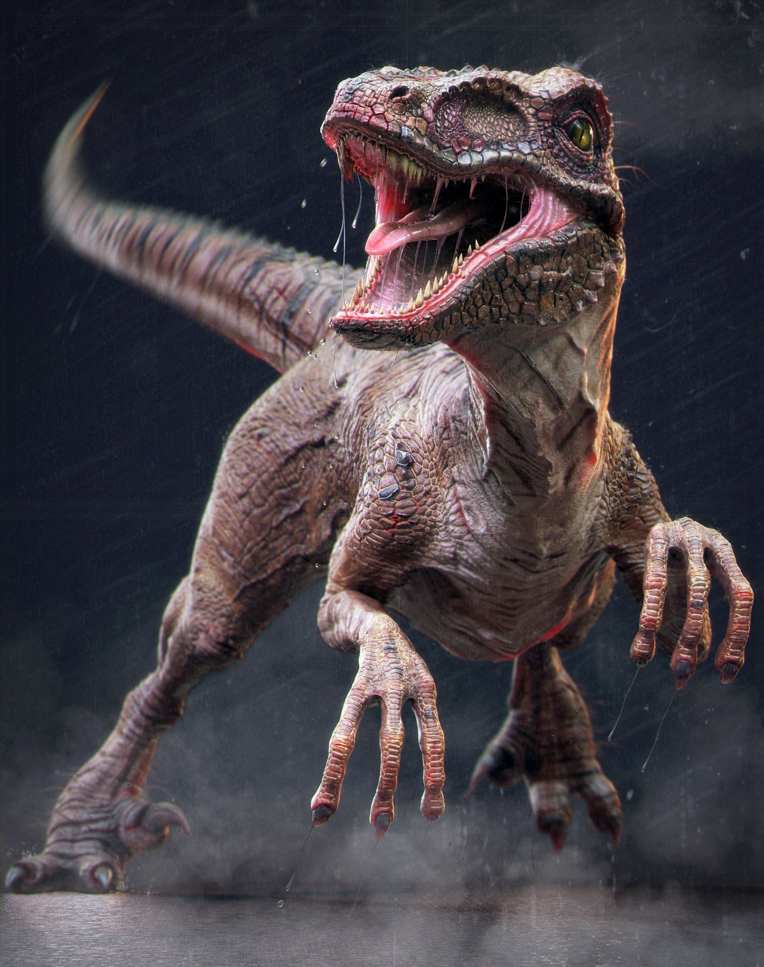 rare large format fine art raptor lithographs for sale rare large format fine art raptor lithographs for sale