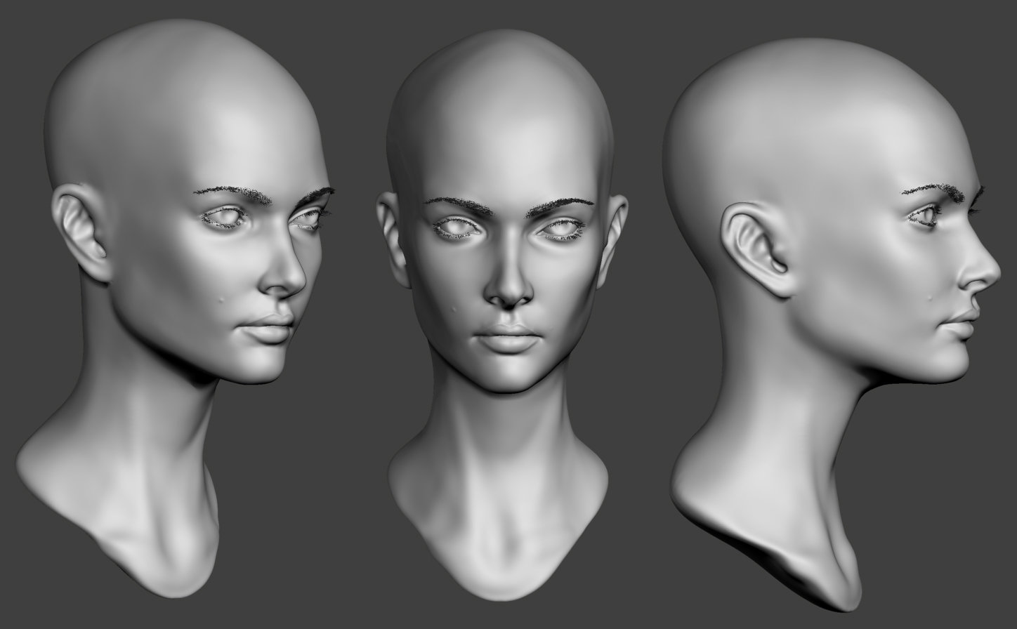 Head Reference