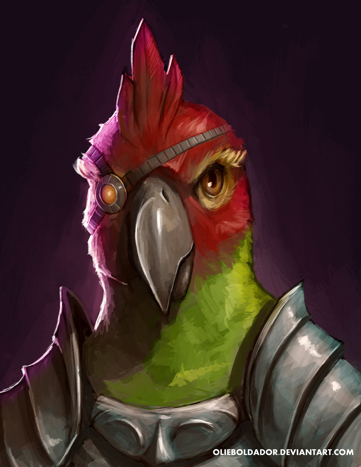 Parrot Pirate