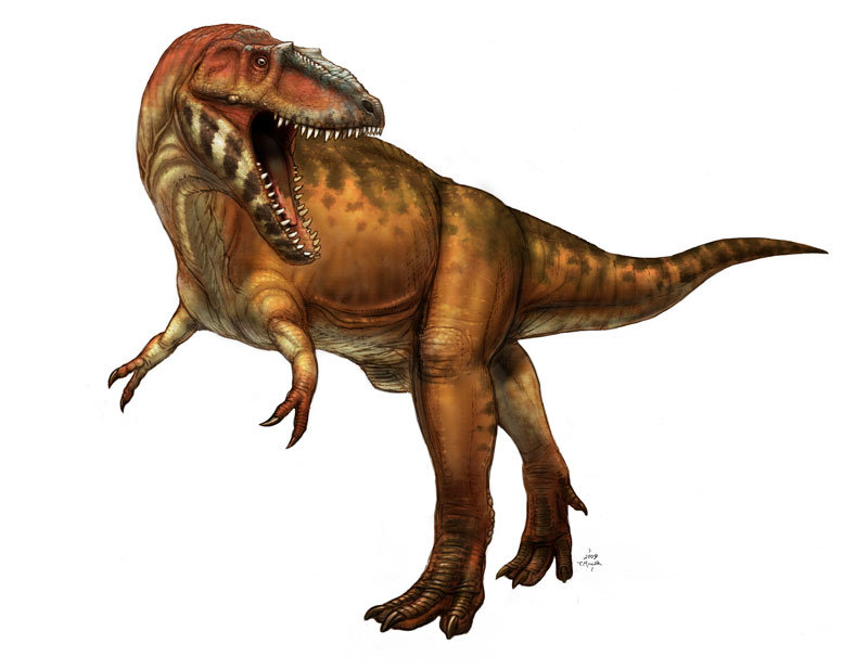 Dino art for marketing, signage, and model color guide.