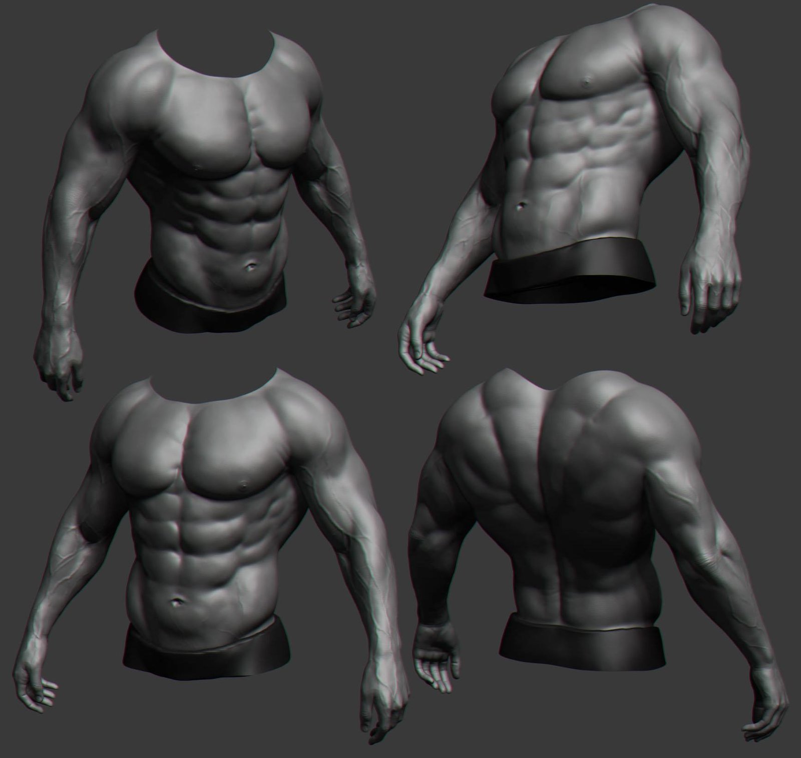 Zbrush референс анатомия