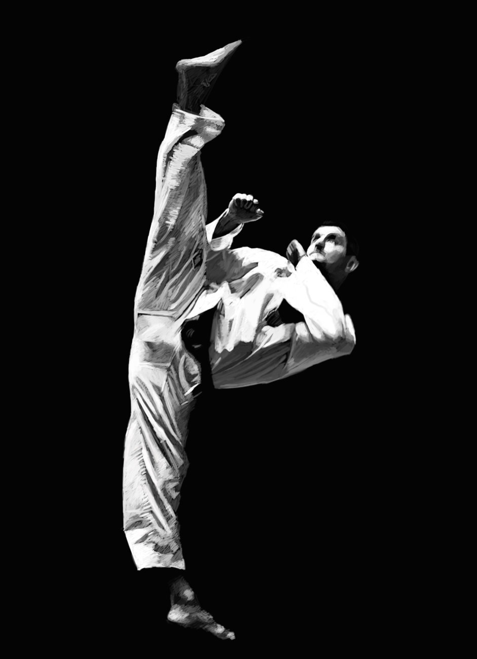 taekwondo kicks wallpaper