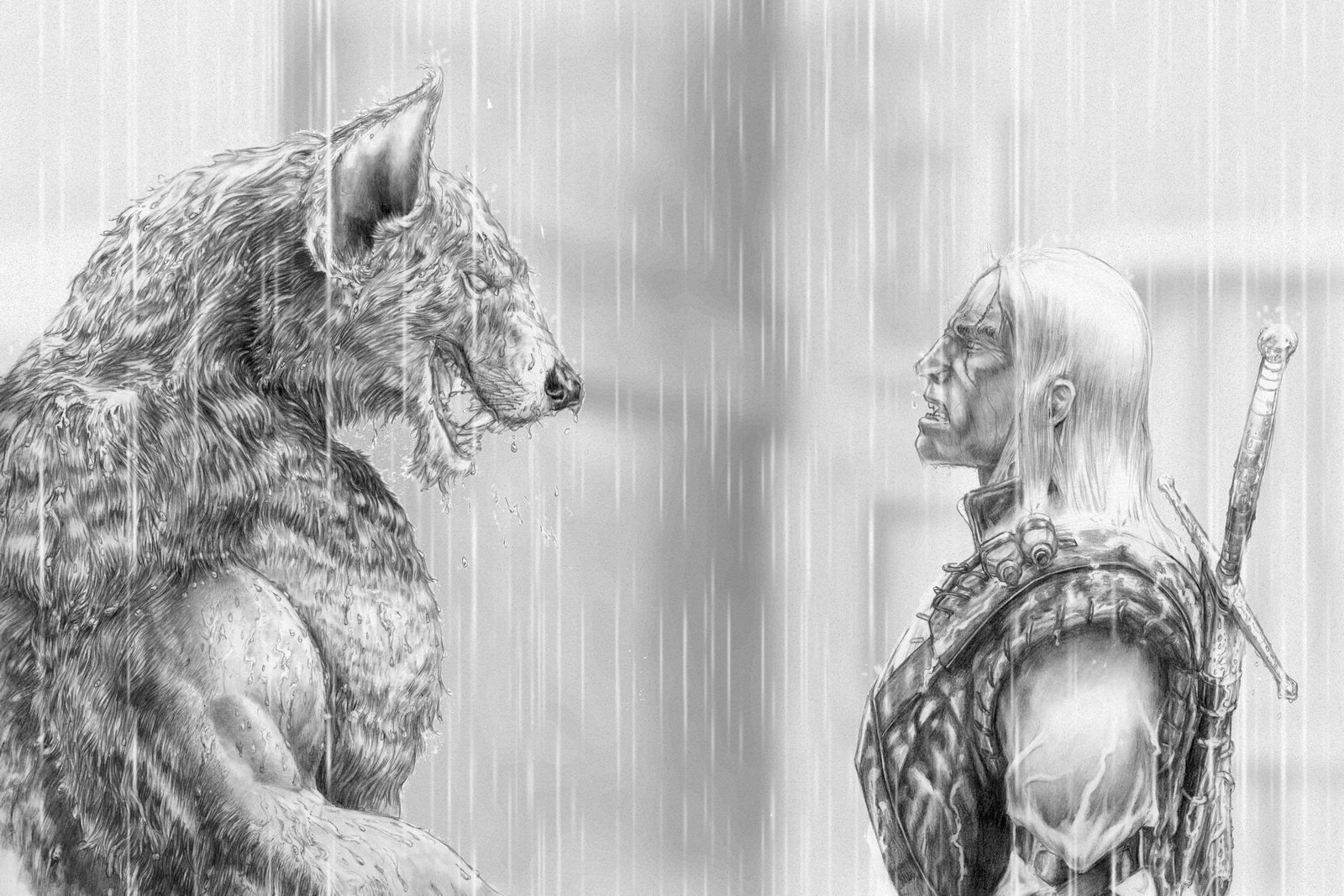 Ведьмак 3 рисунок тролля