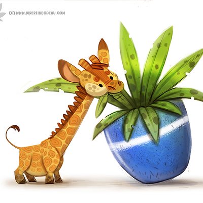 Piper thibodeau d949 s