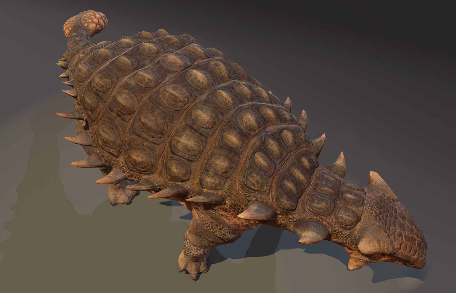 all about ankylosaurus