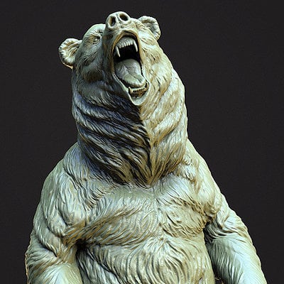bear study
