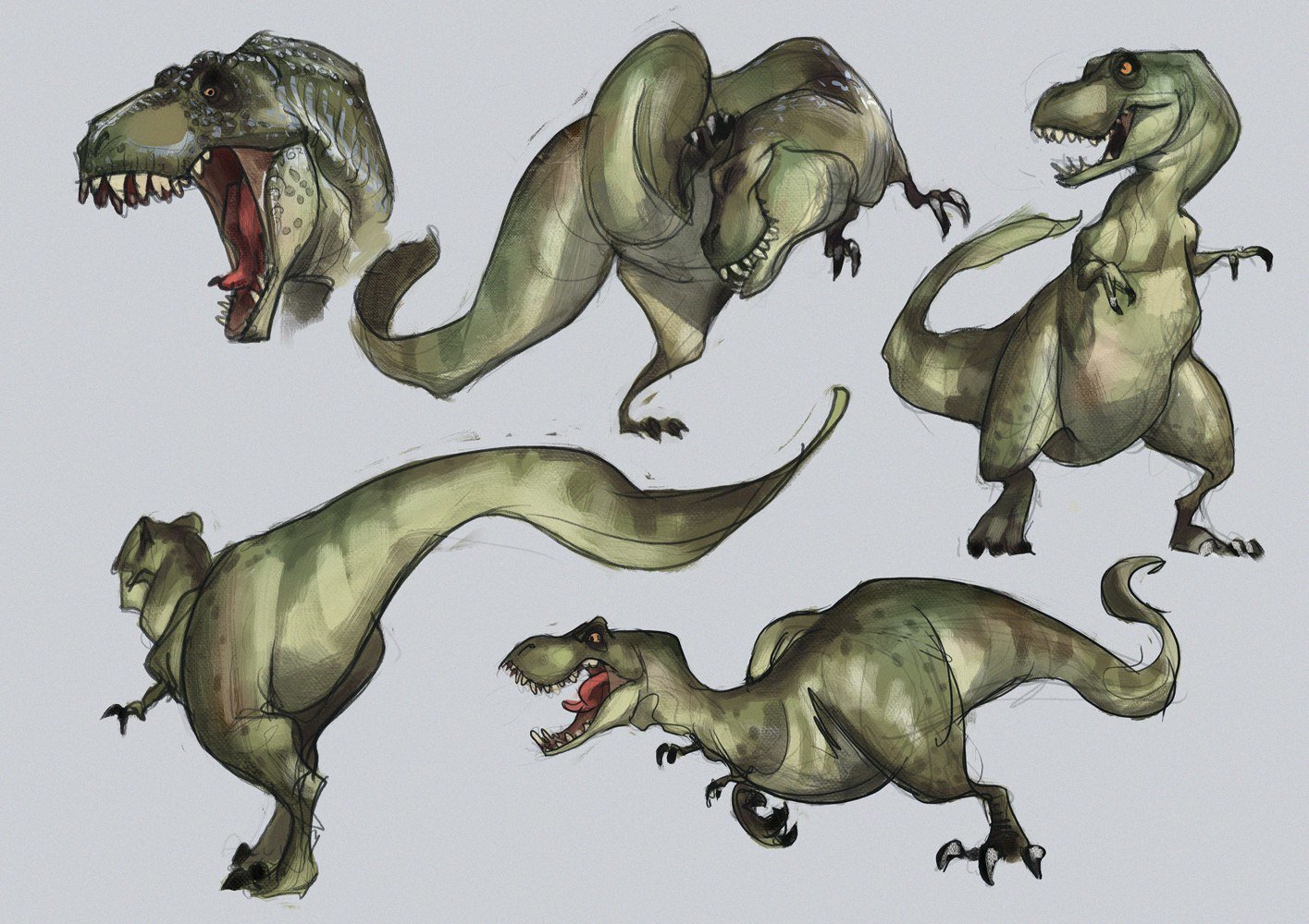 Руки динозавриком. Тираннозавр рекс референс. Тирекс динозавр анатомия. Тираннозавр рекс анатомия. Тираннозавр парк Юрского периода референс.