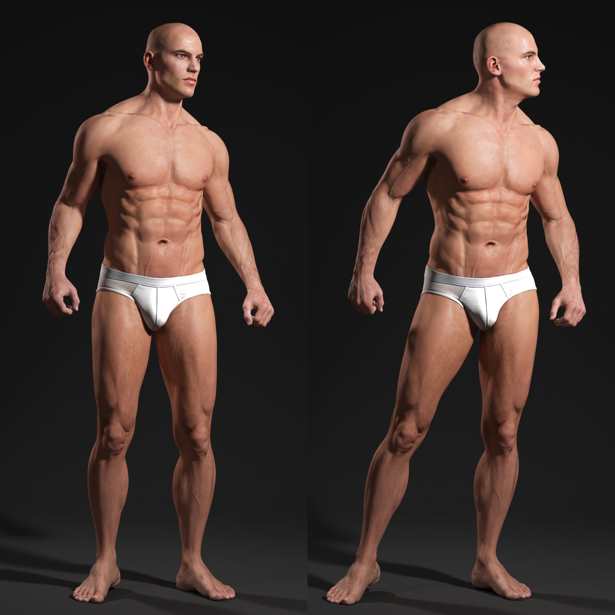 Male Body - Anatomy Study.