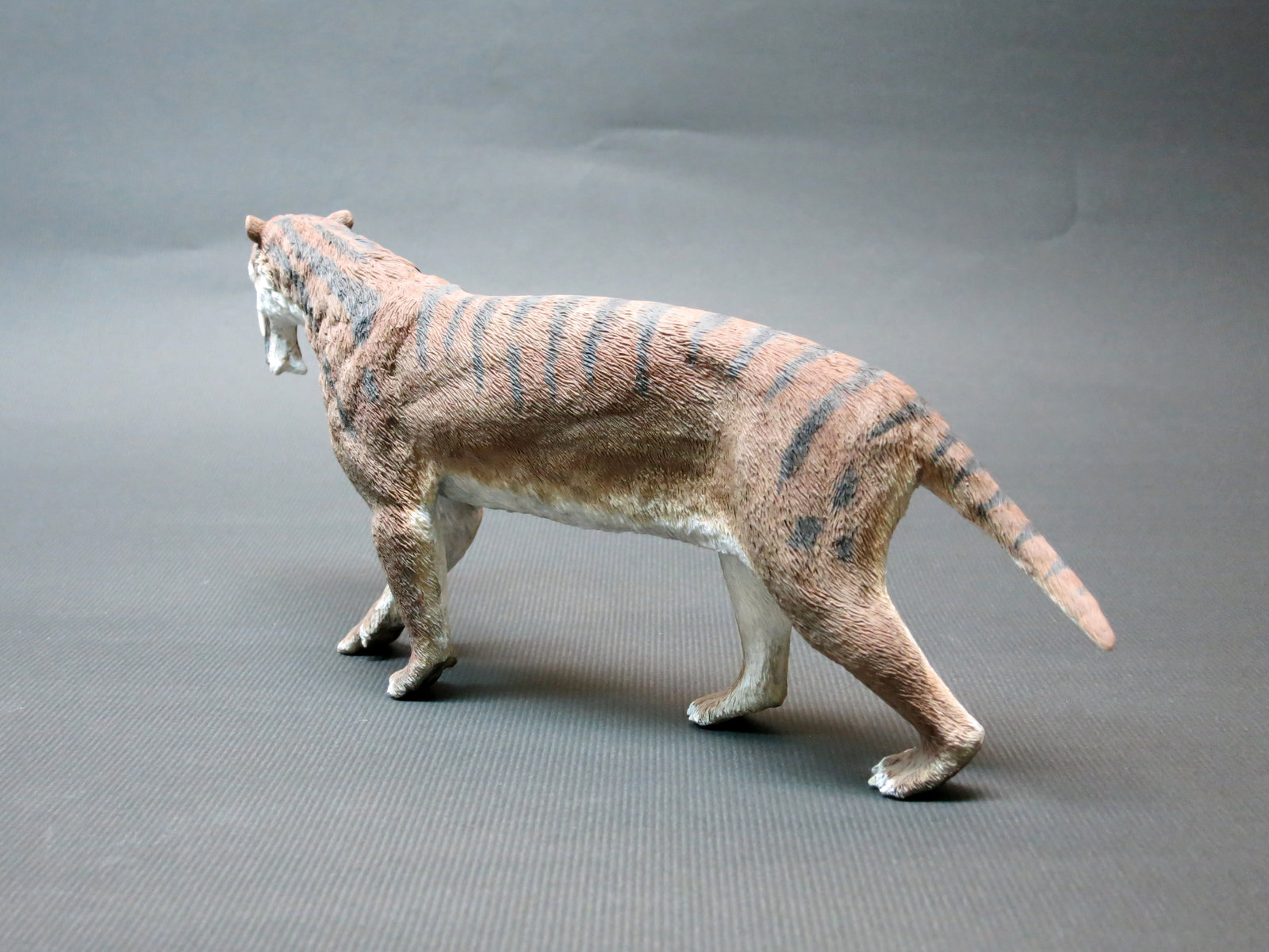 yu-chin-huang-yu7-art-1-10th-scale-thylacosmilus-atrox