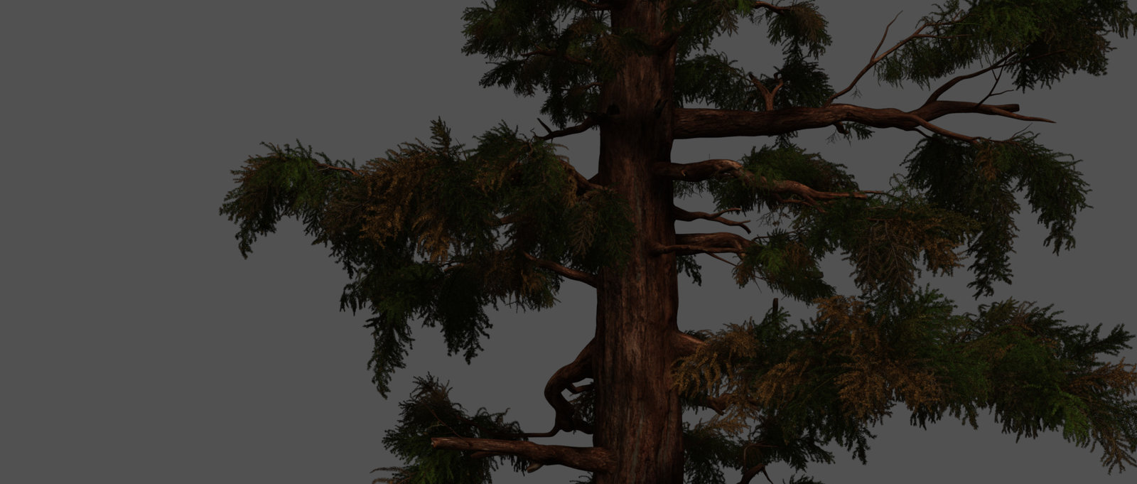 One of many 'GEN' Trees. I textured &amp; lookdev'd all Pine Forest Trees &amp; Foliage