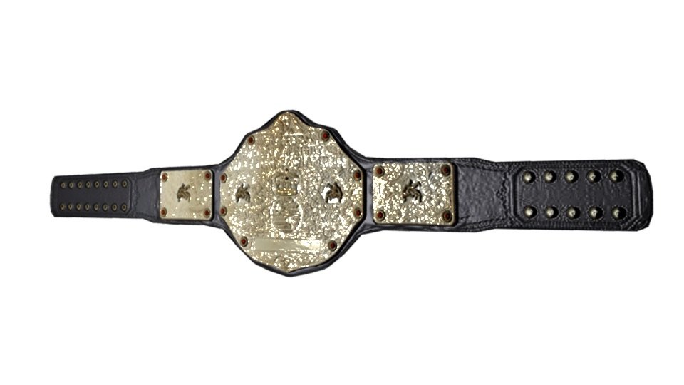ArtStation - World Heavyweight Championship (2002-2014) Edition