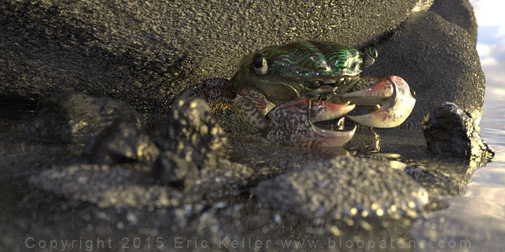 crabbity crab