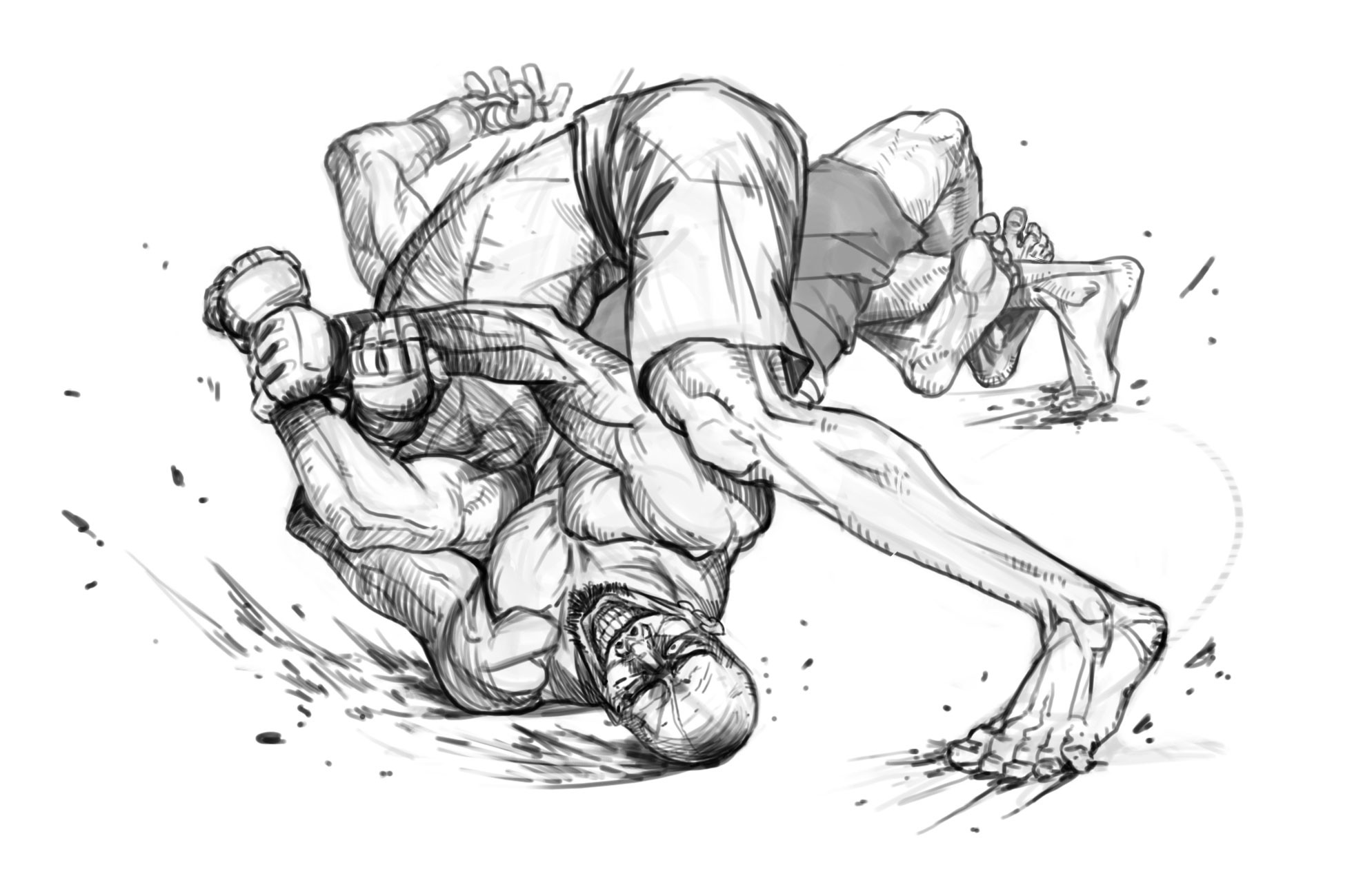Jiu Jitsu Fight