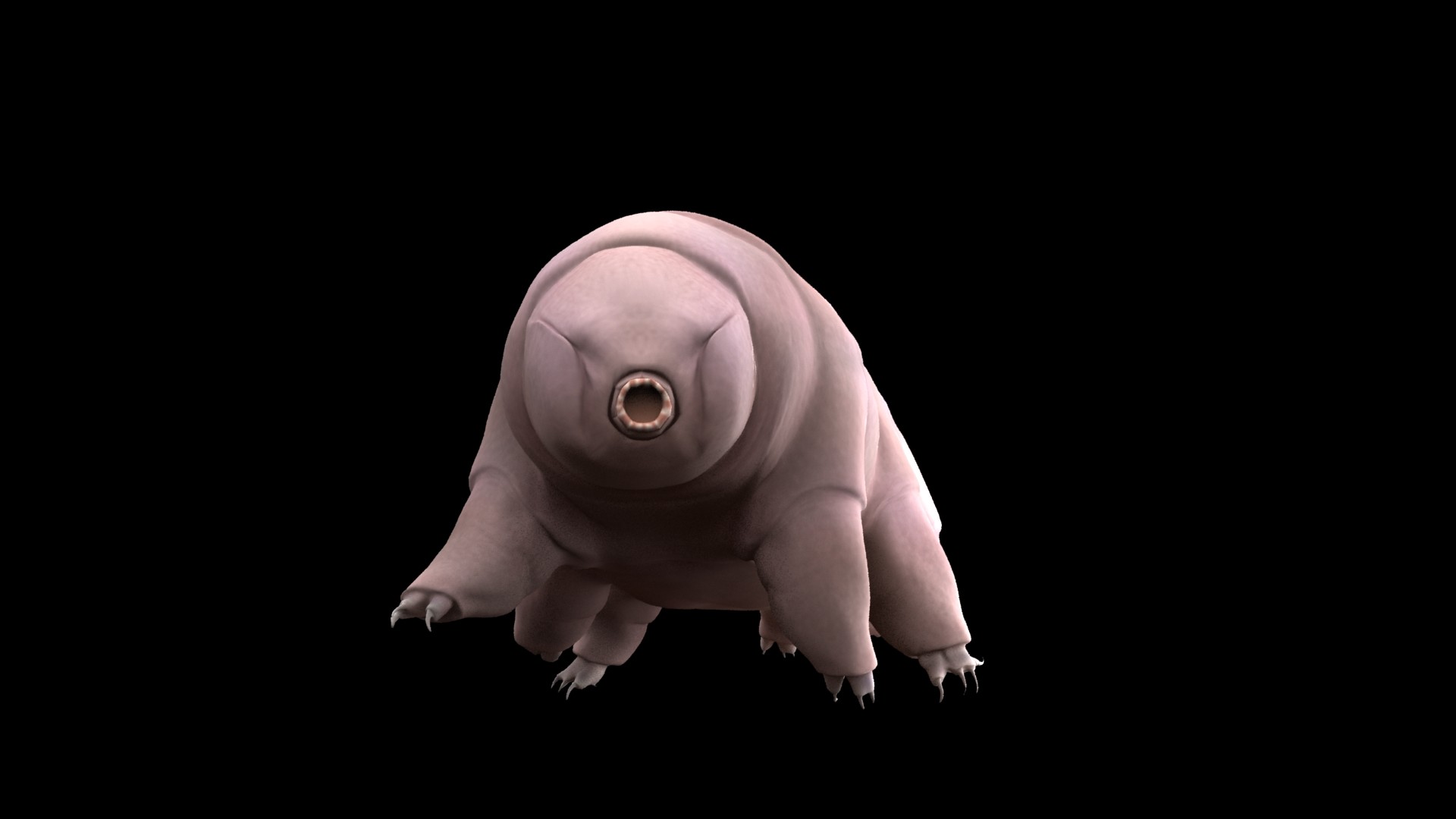 Tardigrade Inferno Дарья Павлович Сколько Лет