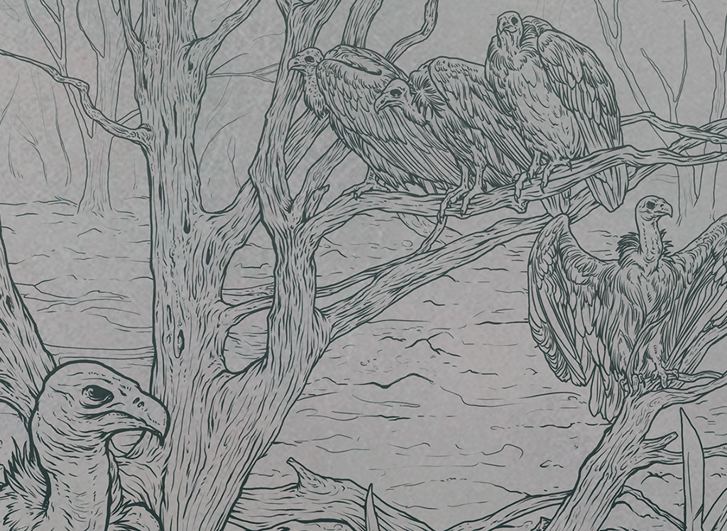 Vultures_fragment3