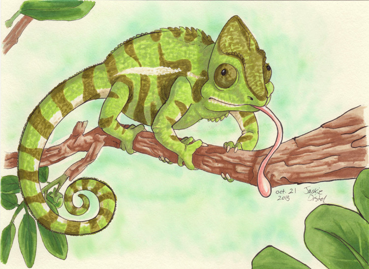 A chameleon drawn for my nephew. 