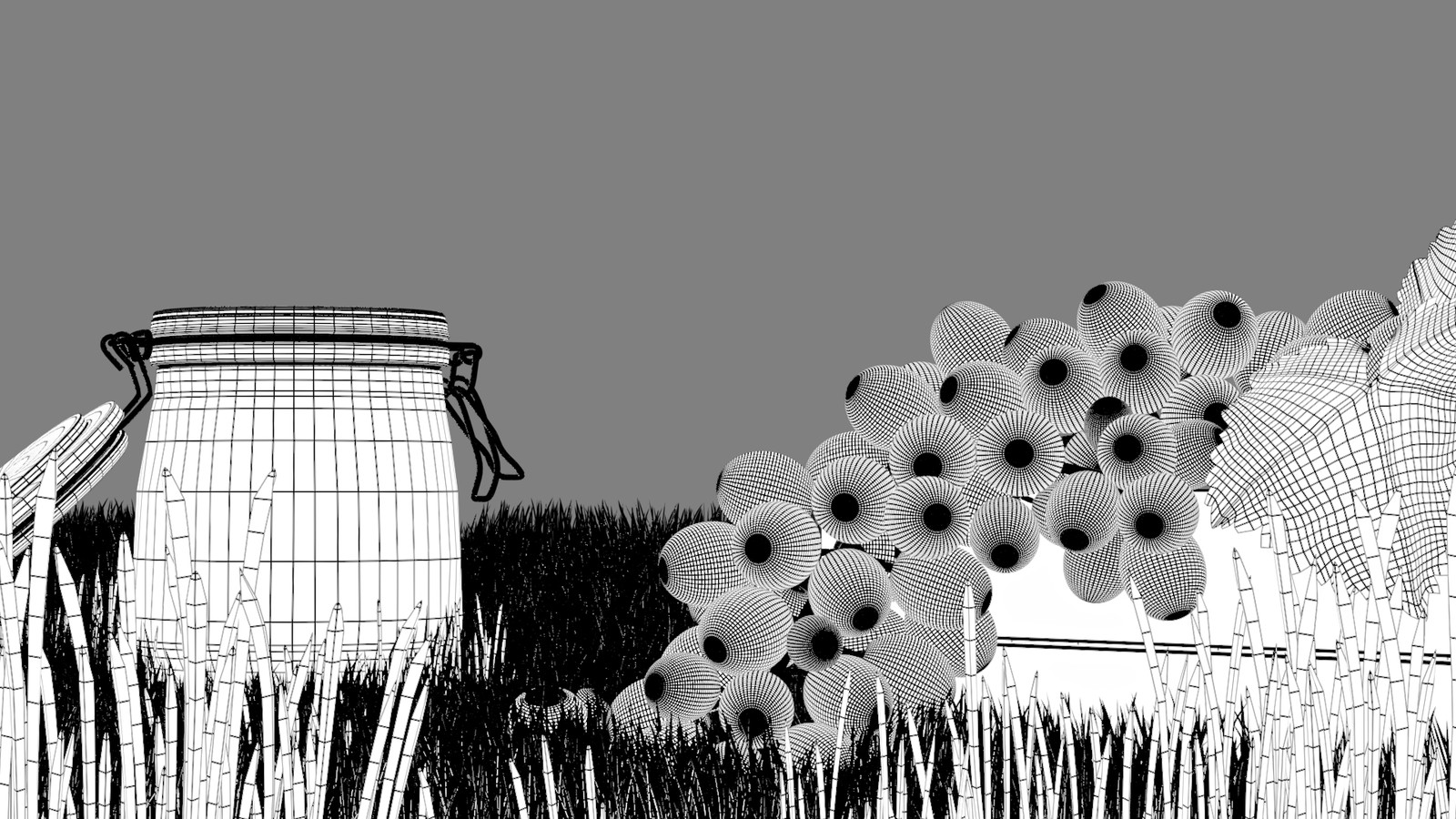 Wireframe