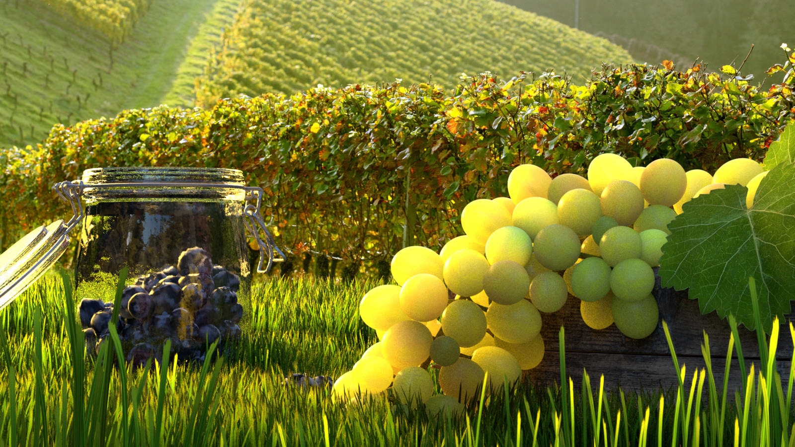 Shading and Texturing