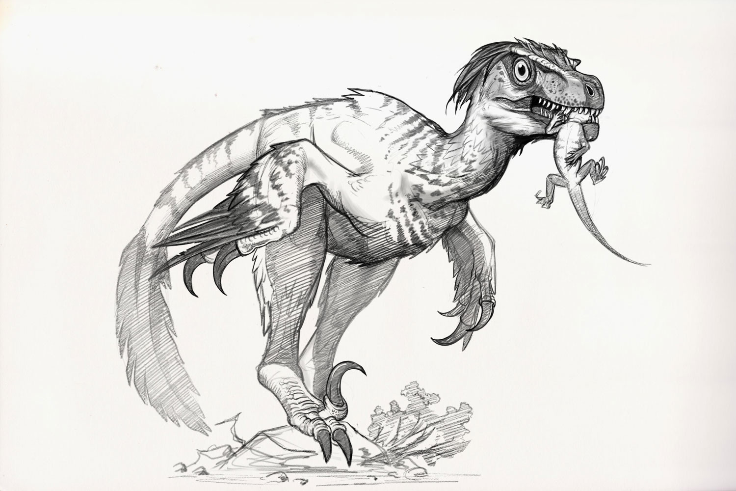 cool velociraptor