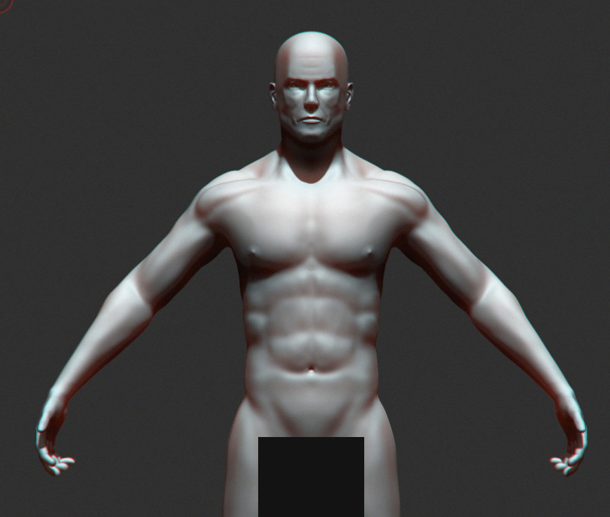 initial anatomical sculpt. legs not shown, they still need a little touch up.
