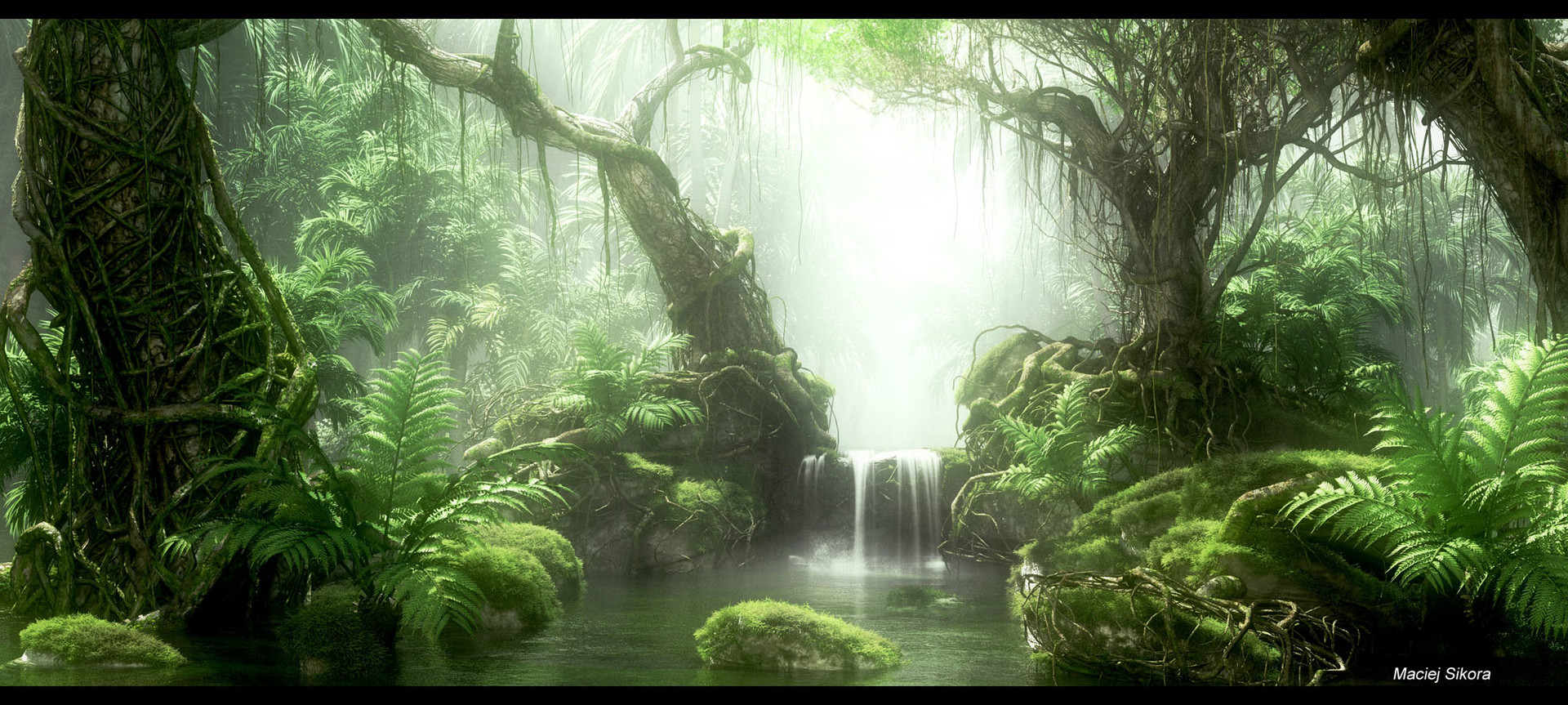 Deep jungle store