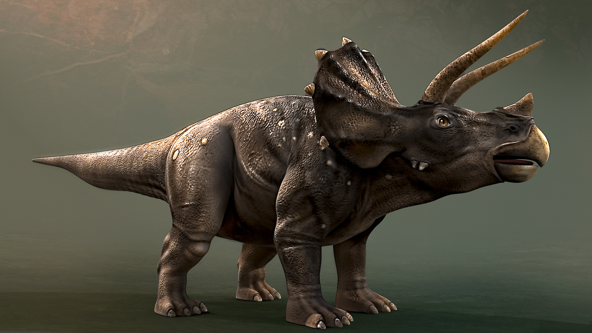 Про трицератопса. Динозавр Трицератопс. Травоядные динозавры Трицератопс. Атрацераптер динозавров. Носорог и Трицератопс.